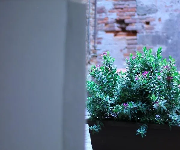 Luccastay 99 Διαμέρισμα Λούκα