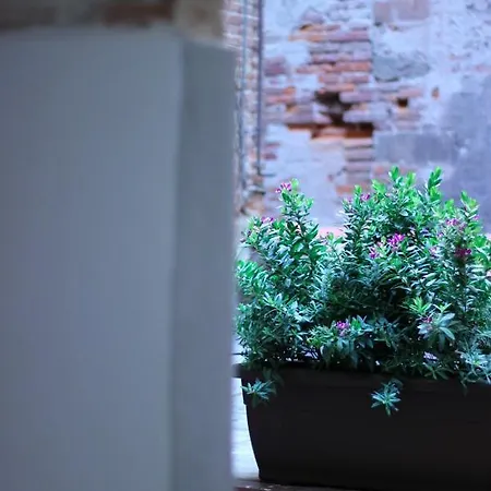 Luccastay 99 Appartamento Lucca